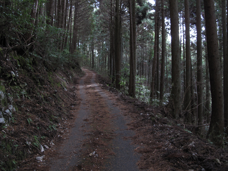 20140105hike (104)